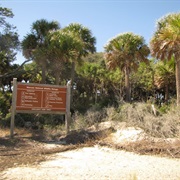 Wassaw National Wildlife Refuge