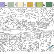 Paint by Number