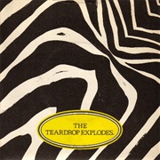 Reward - The Teardrop Explodes