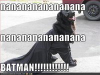 Listening to Someone Talk and Thinking Nanananananana Batman