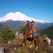 EZ Times Guided Trail Rides (Elbe)