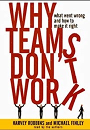 Why Teams Don't Work (Harvey Robbins)