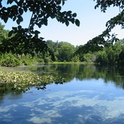 Wekiwa Springs State Park, Florida