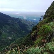 Horton Plains & World's End