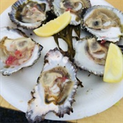 Galway Oysters