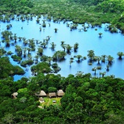 Take a Trip to a Wildlife Reserve