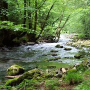 Risnjak National Park, Croatia