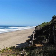 Gleneden Beach, Oregon