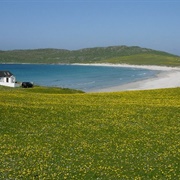 Tiree