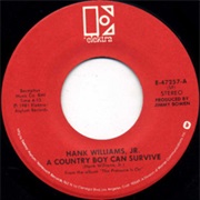 A Country Boy Can Survive - Hank Williams Jr.