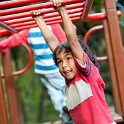 Master the Monkey Bars