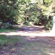 Army Rd Campsite - Central NI