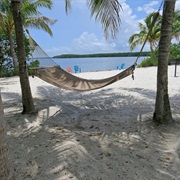 Palmetto Bay, Florida