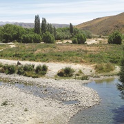 Ahuriri Bridge Campsite