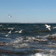 Oyster Bay National Wildlife Refuge