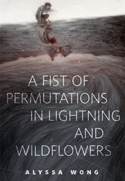 A Fist of Permutations in Lightning and Wildflowers (Alyssa Wong)