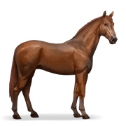 Irish Hunter - Chestnut