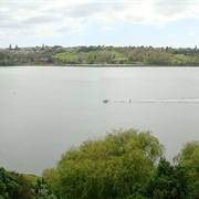 Orakei Basin