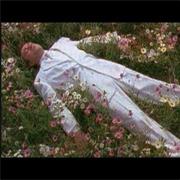 "Digging in the Dirt" - Peter Gabriel