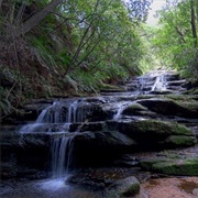 Leura Cascades