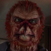 Barbatus Ossifrage - Bearded Vulture Wesen