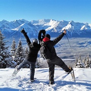 Banff National Park Snowshoe Tour
