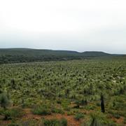 Lesueur National Park (WA)