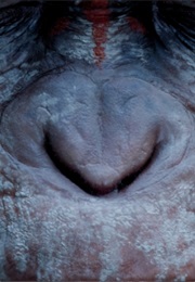 Planet of the Apes 4 (2020)