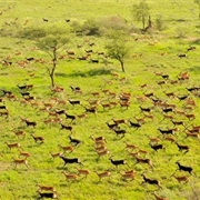 Bandingilo National Park
