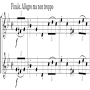 Allegro Ma Non Troppo
