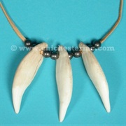 Wear an Animal&#39;s Teeth on a Necklace