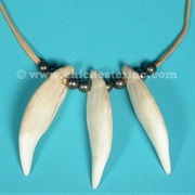 Wear an Animal's Teeth on a Necklace
