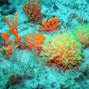 Isles of Scilly, England