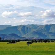 Hike the Western Ghats