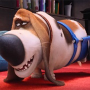 Pops (Secret Life of Pets)