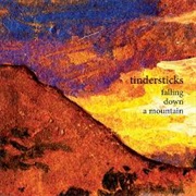 Tindersticks - Falling Down a Mountain