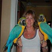 Hold a Macaw