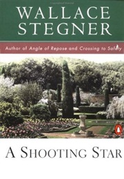 A Shooting Star (Wallace Stegner)