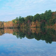 Lums Pond State Park, Delaware