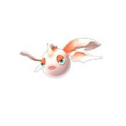 Goldeen