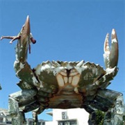 E3 Sony 2006 / Giant Enemy Crab