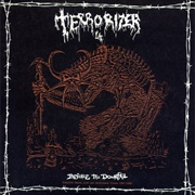 Terrorizer - Before the Downfall