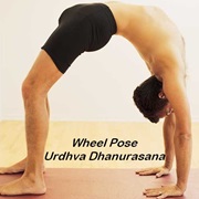 Wheel Pose
