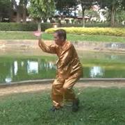 Hising-Yi-Chuan (Xingyiquan)