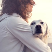 Spend Time With Animals