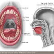 Oral Cancer