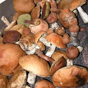 Wild Mushrooms