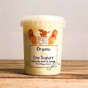 Ginger Yoghurt