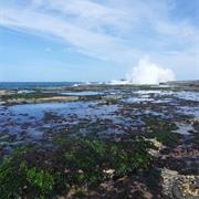 Royal National Park (NSW)