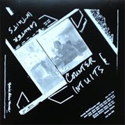 Counter Intuits - Sheets of Hits